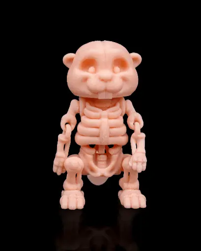 Skeleton Beaver