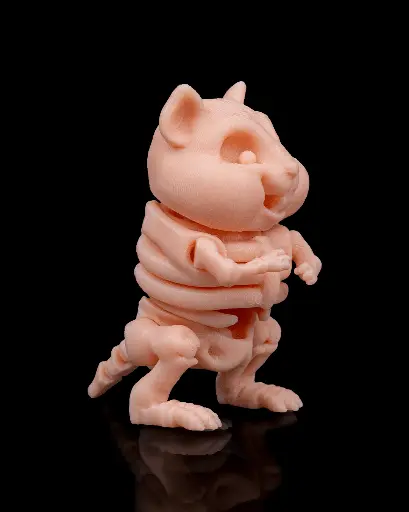 Skeleton Hamster