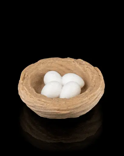 Eggs in a Nest